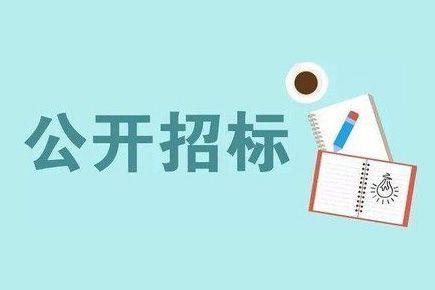 湘珺未来学校直饮水改造工程 招标公告